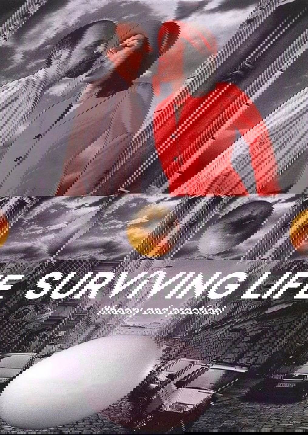 Surviving Life (Theory and Practice) photo