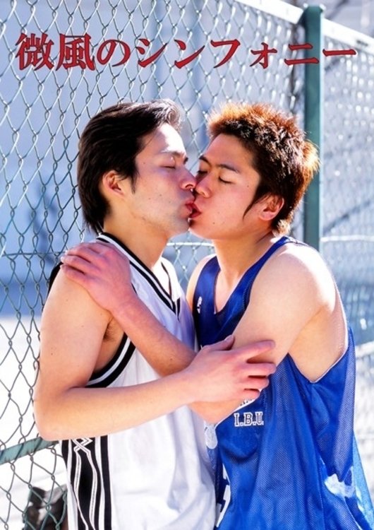 Symphony of the Breeze photo