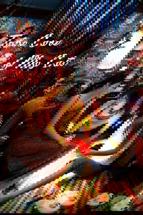 Take Care of My Cat photo