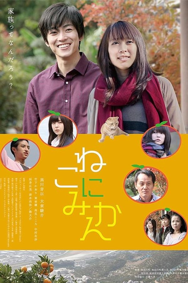 Tangerines on Cat photo