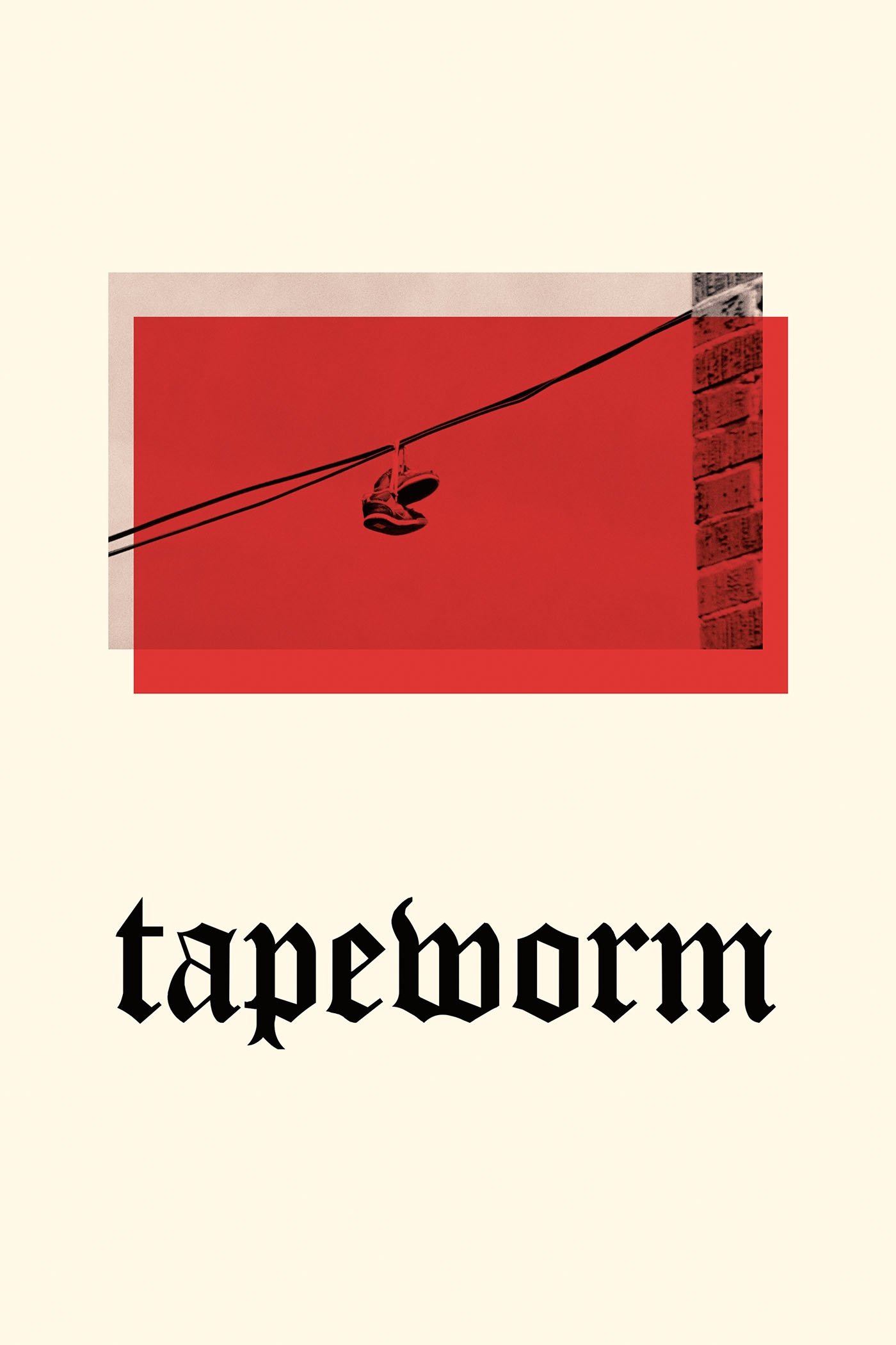 Tapeworm photo