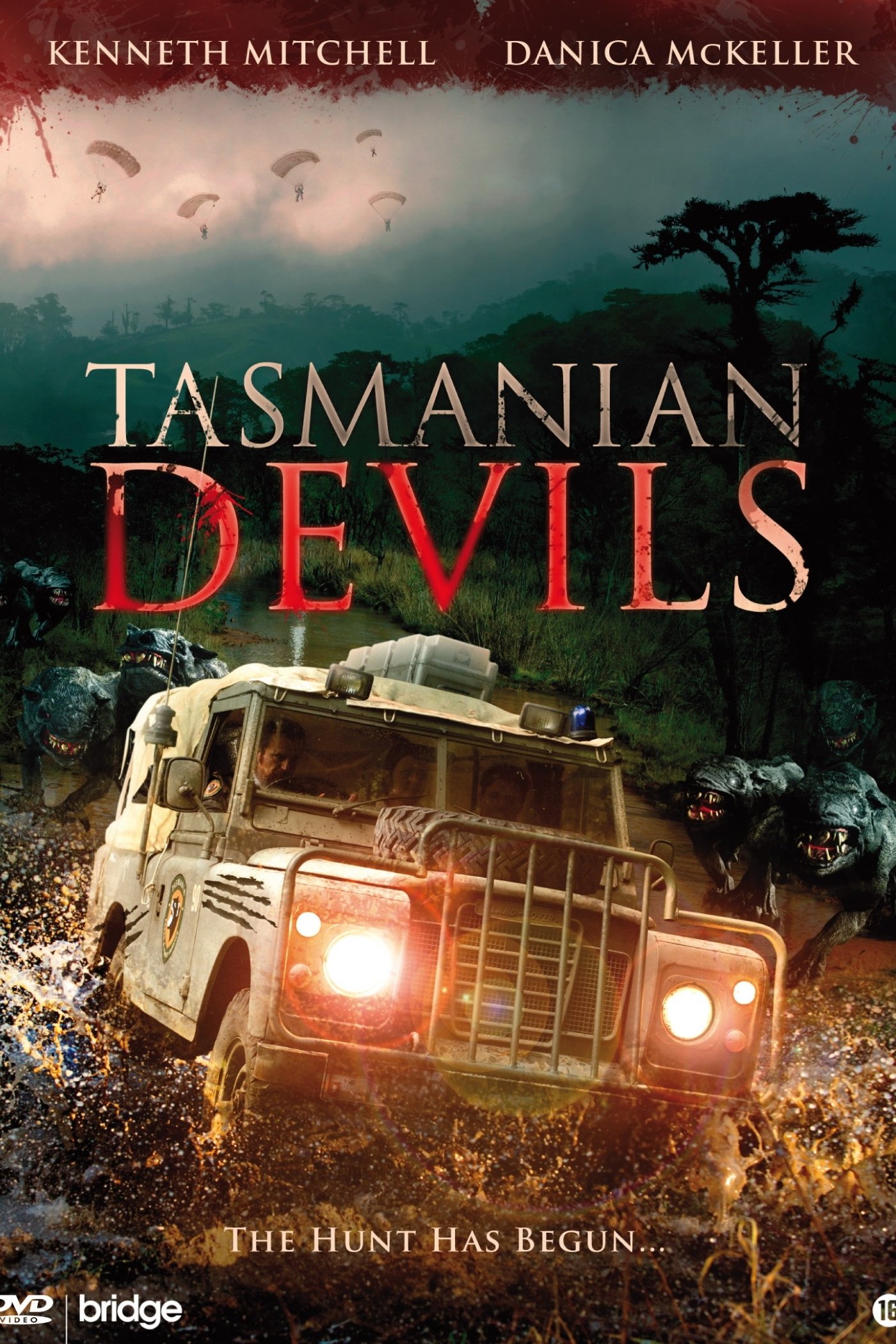 Tasmanian Devils photo