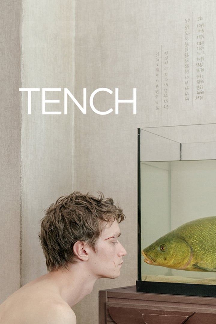 Tench photo