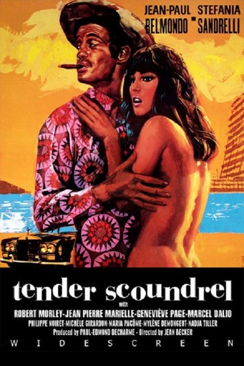 Tender Scoundrel photo