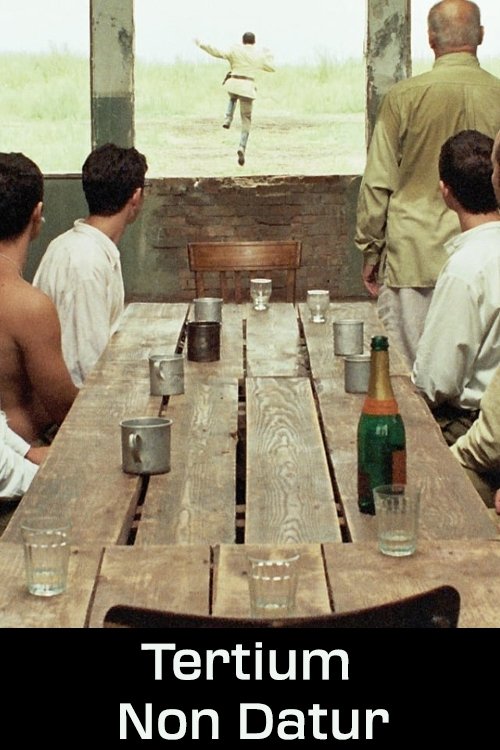 Tertium Non Datur photo
