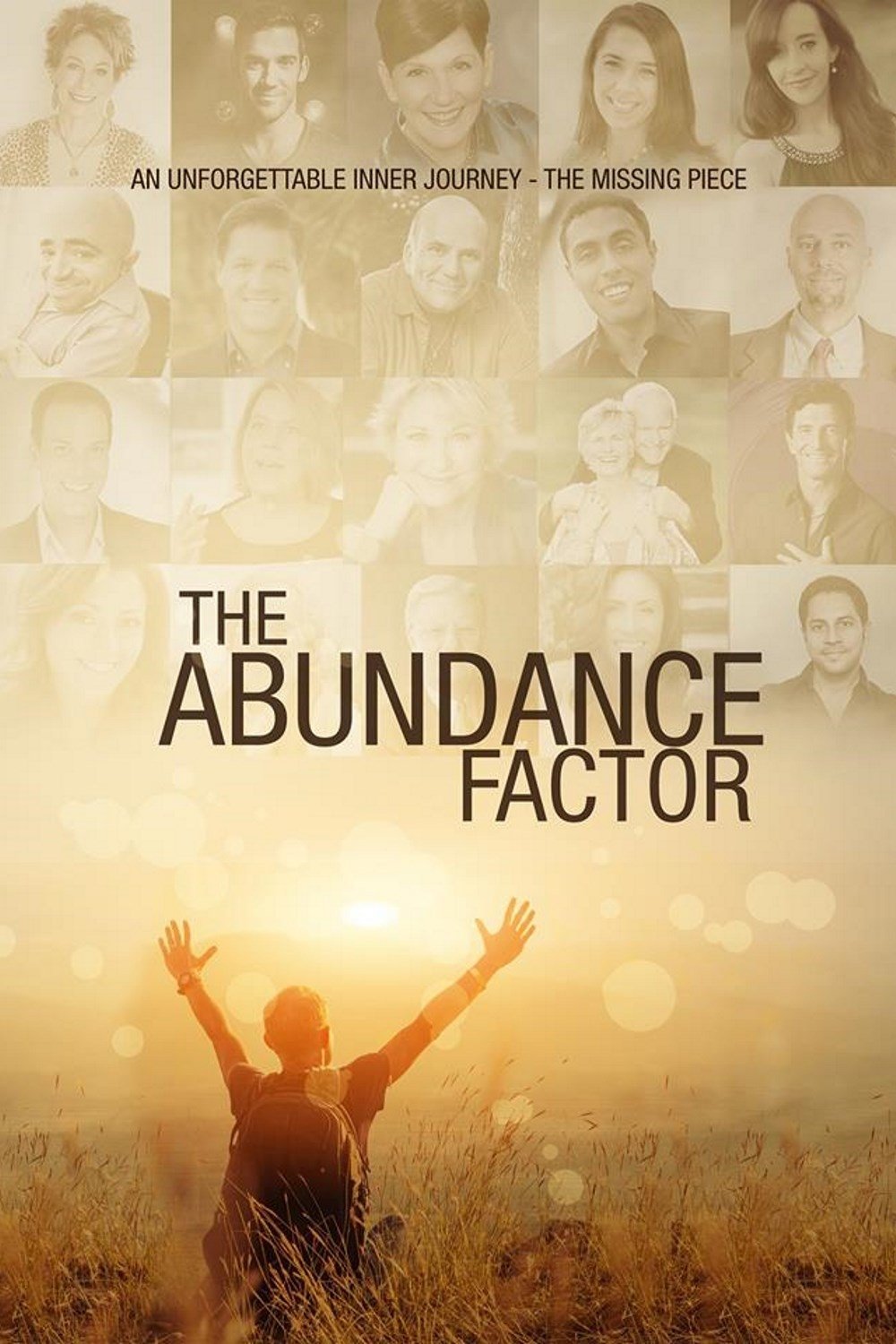 The Abundance Factor photo