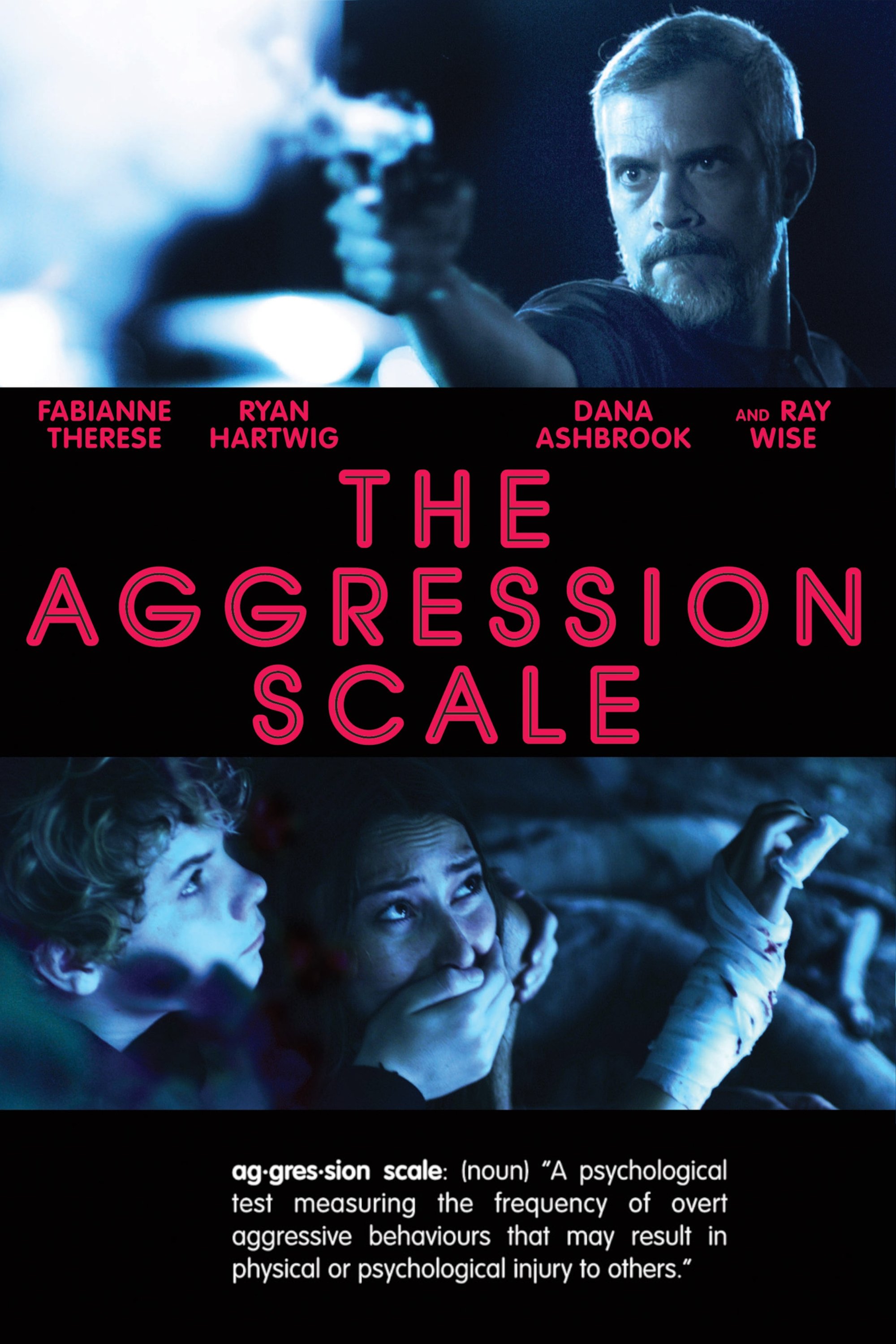 The Aggression Scale photo