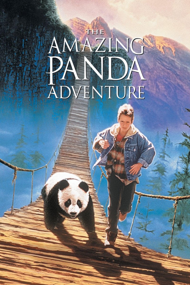 The Amazing Panda Adventure photo