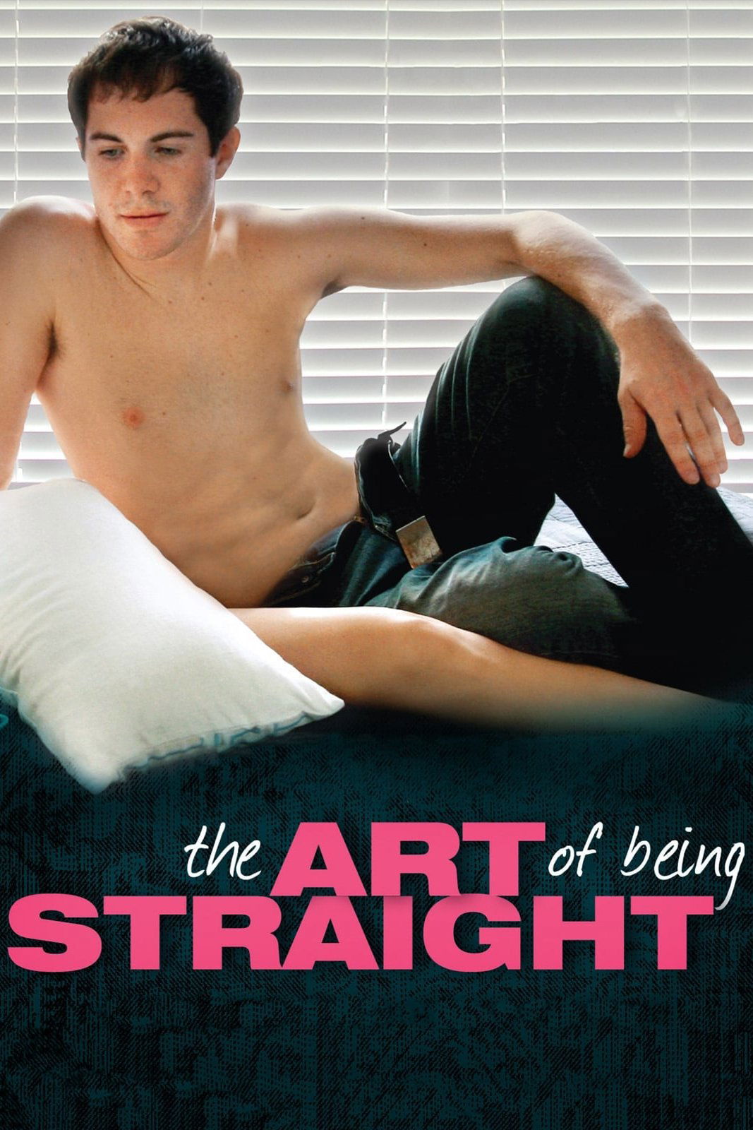 The Art of Being Straight photo