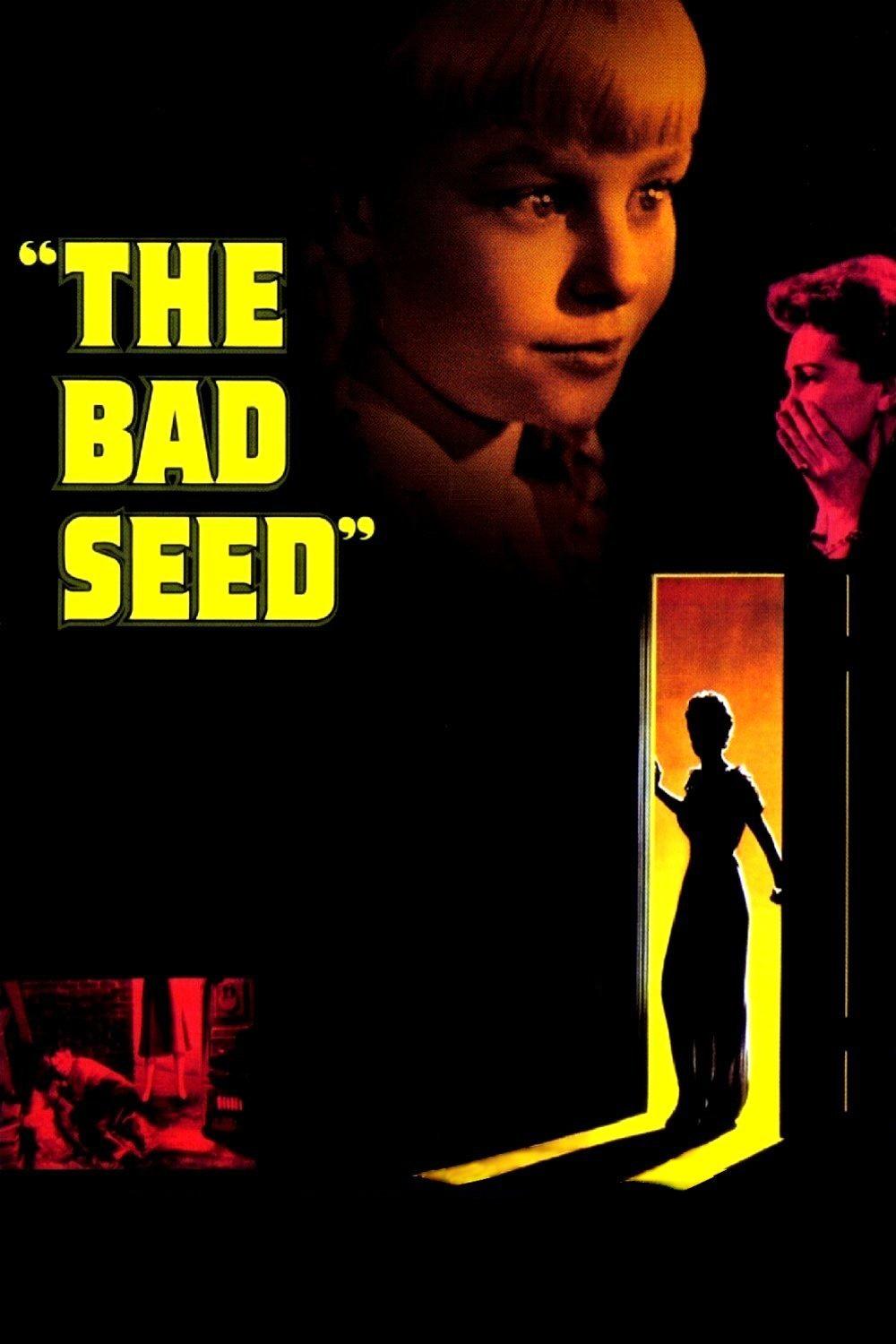 The Bad Seed photo