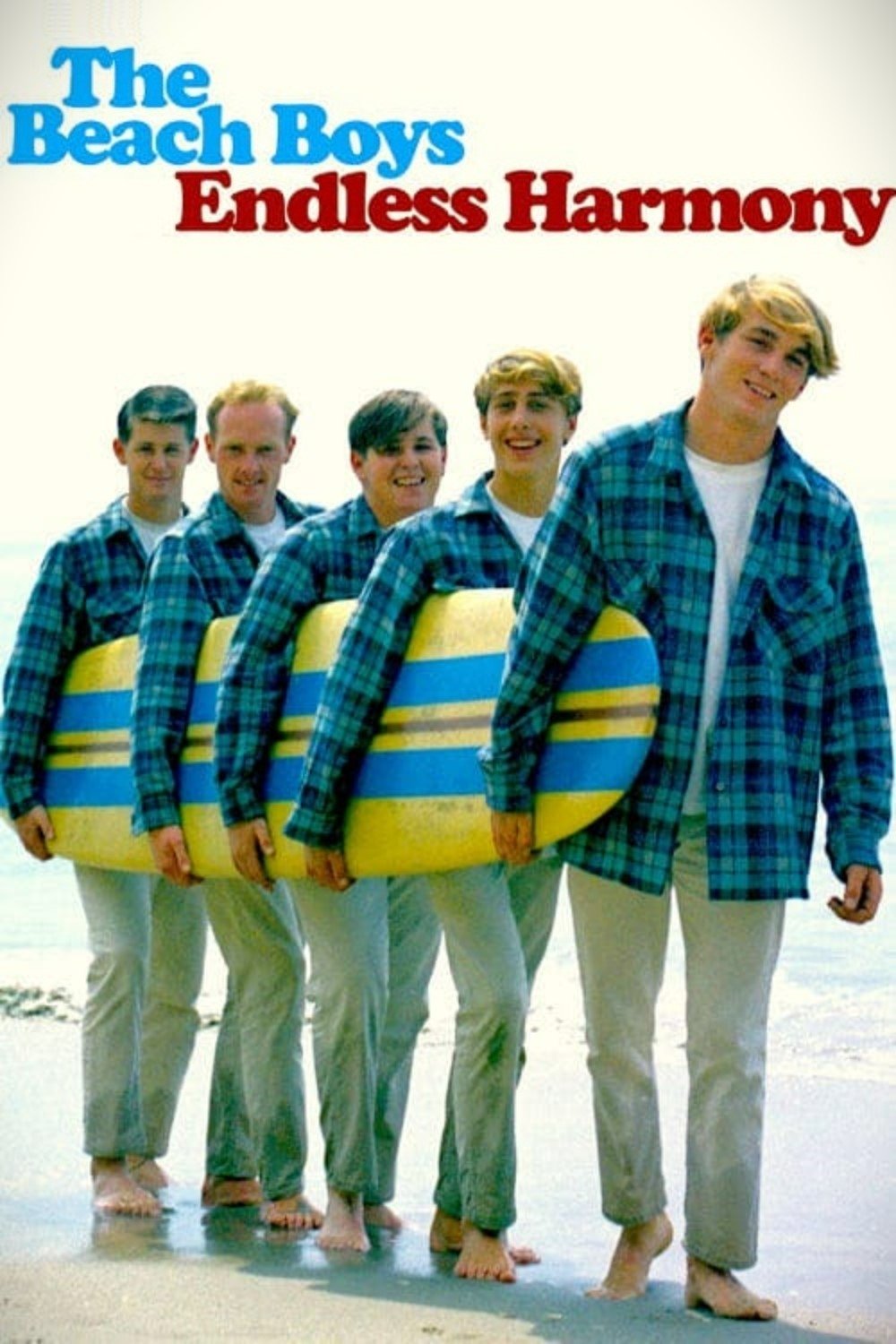 The Beach Boys: Endless Harmony photo