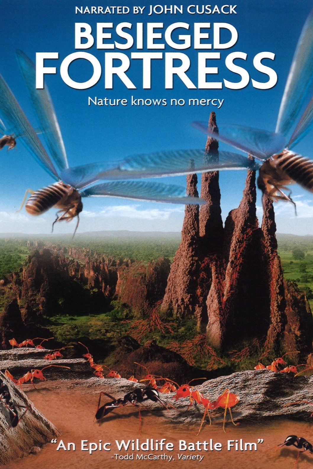 The Besieged Fortress photo