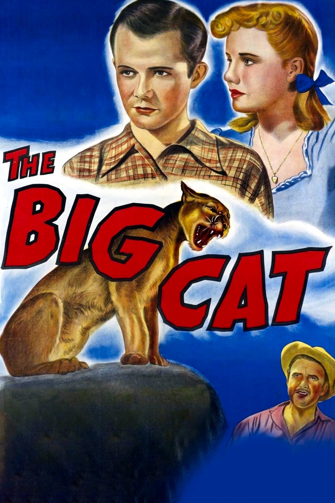 The Big Cat photo