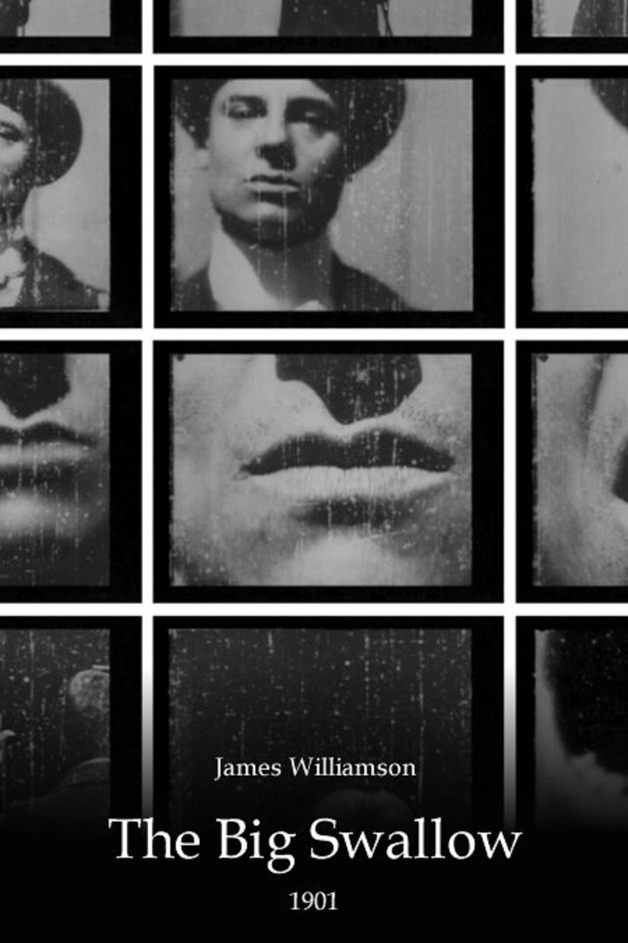 The Big Swallow photo