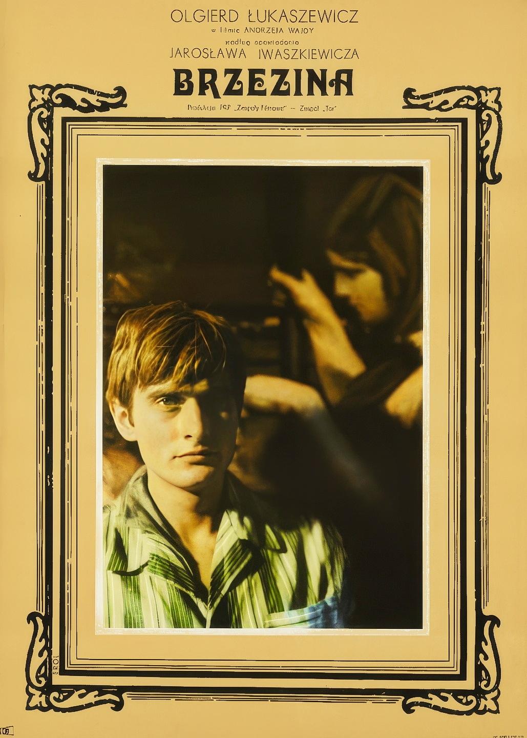 The Birch Wood photo