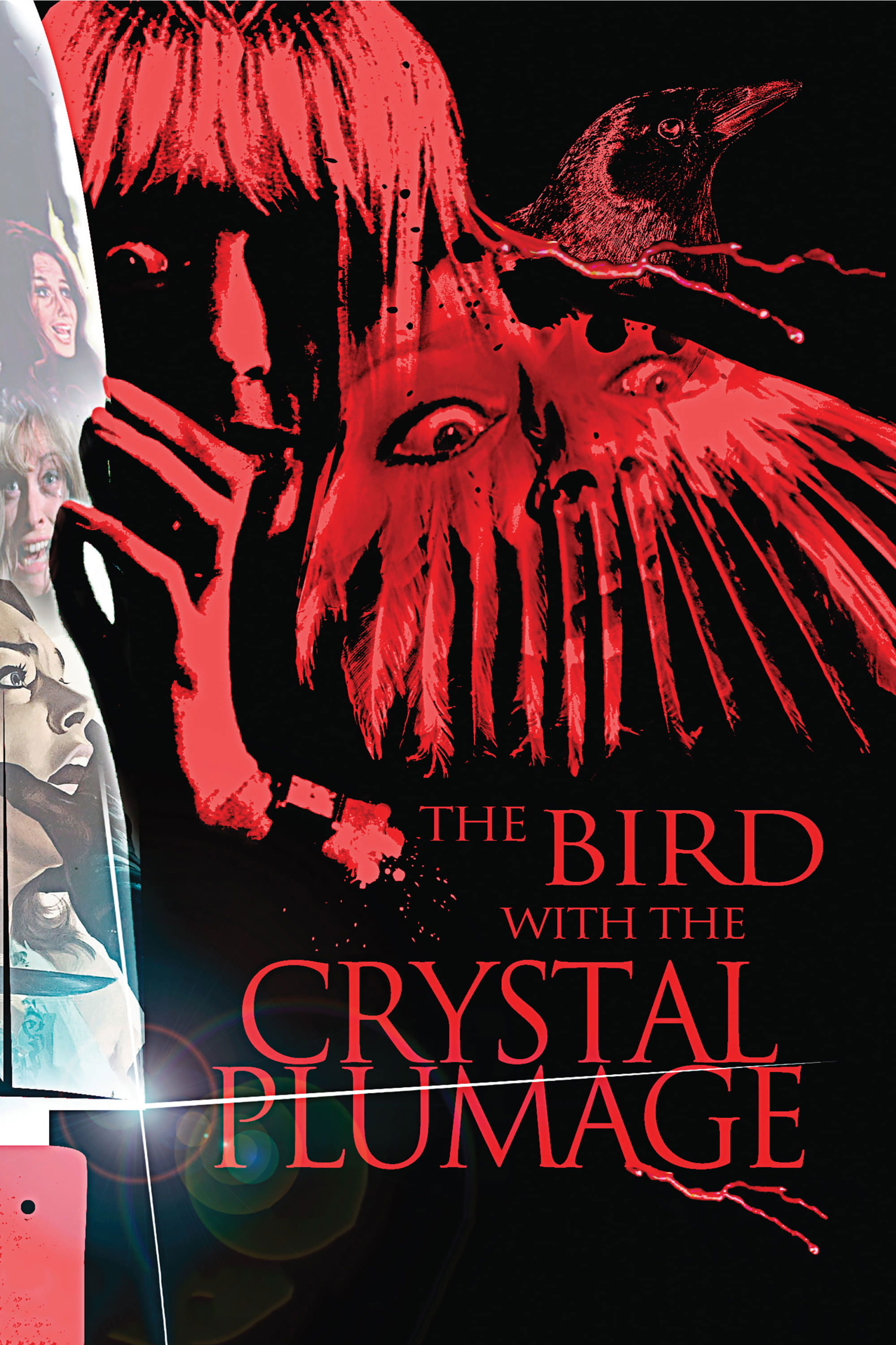 The Bird with the Crystal Plumage photo