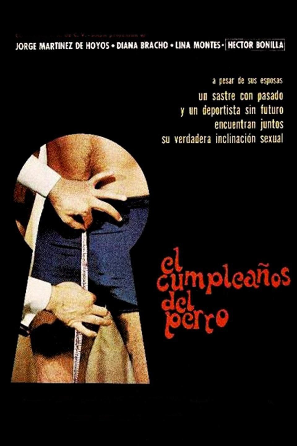 The Birthday of the Dog photo