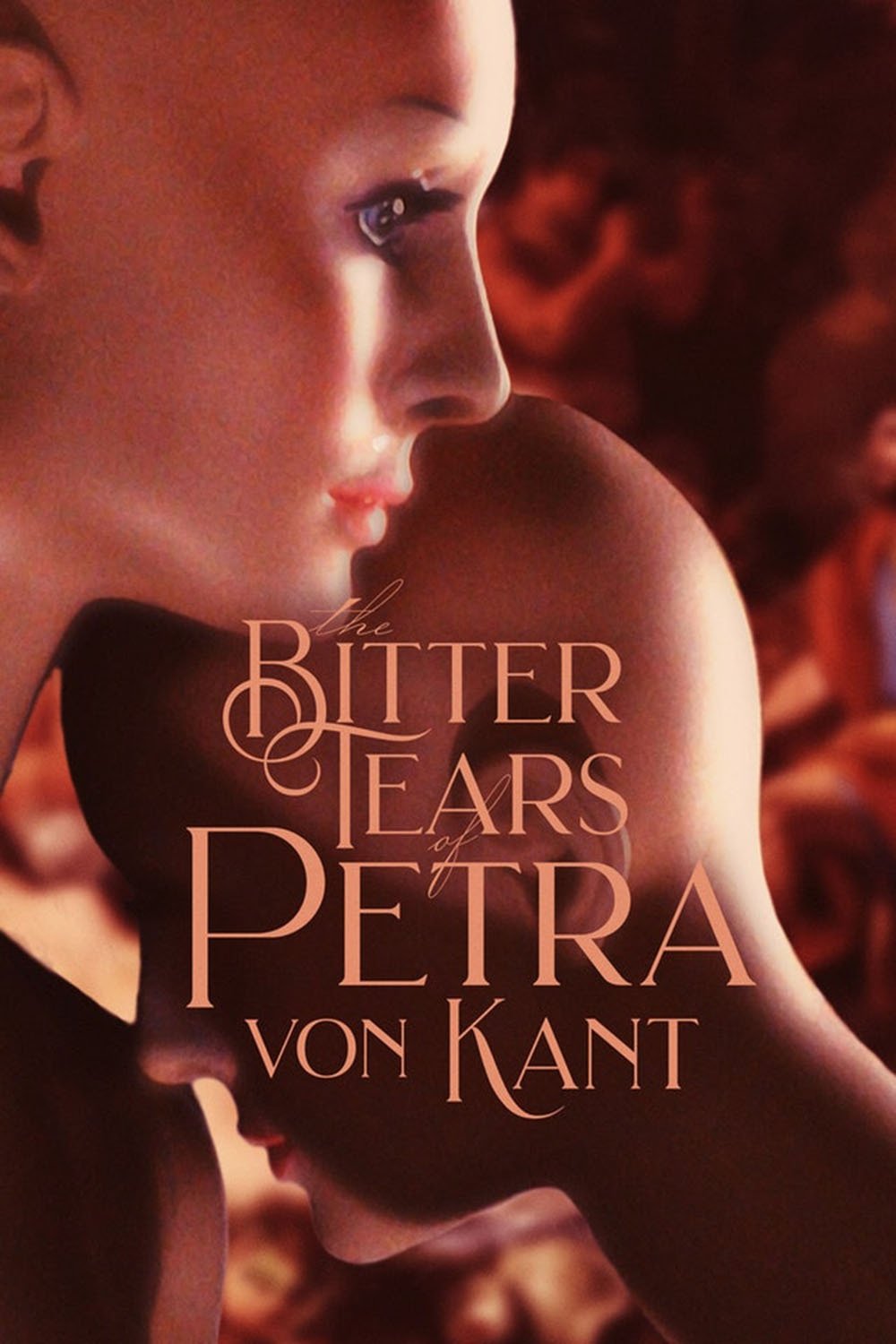 The Bitter Tears of Petra von Kant photo