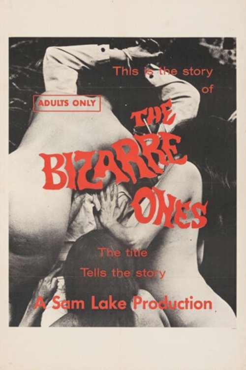 The Bizarre Ones photo