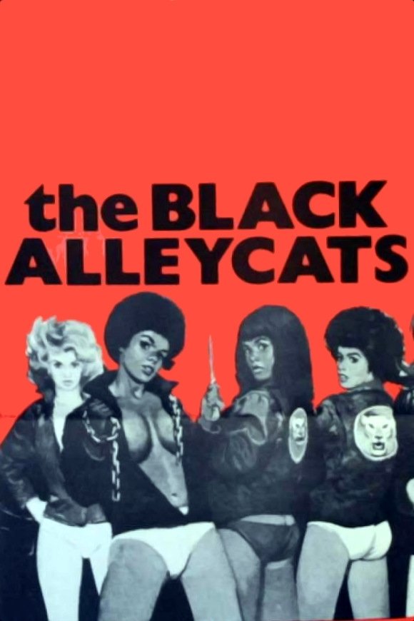 The Black Alley Cats photo
