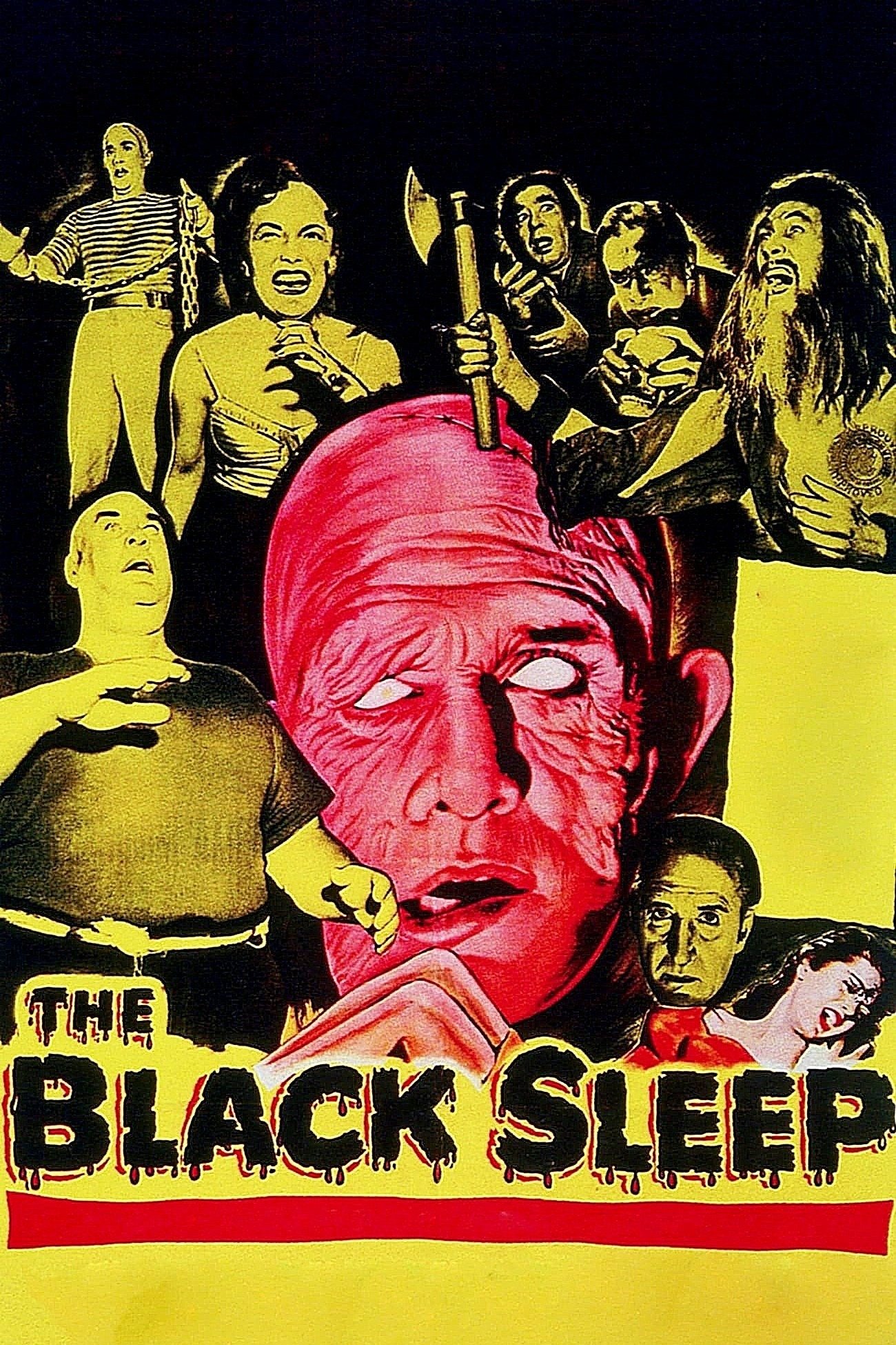 The Black Sleep photo