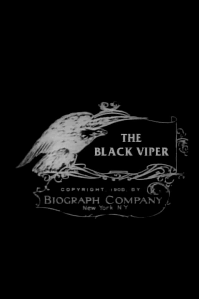 The Black Viper photo