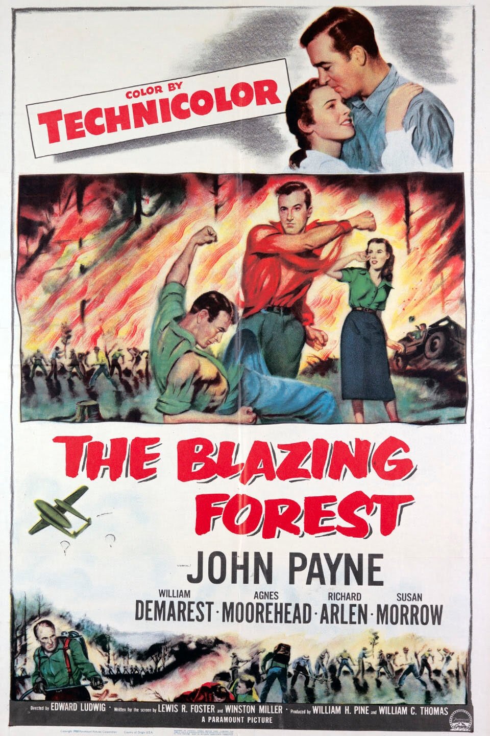 The Blazing Forest photo