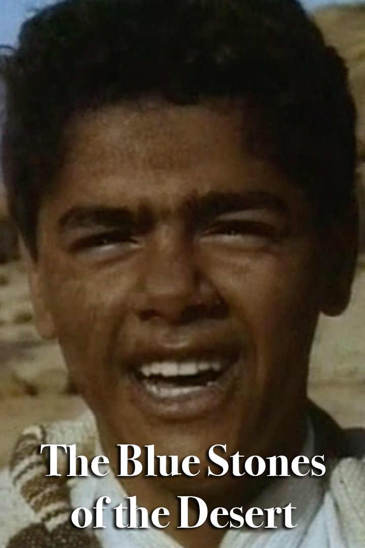 The Blue Stones of the Desert photo