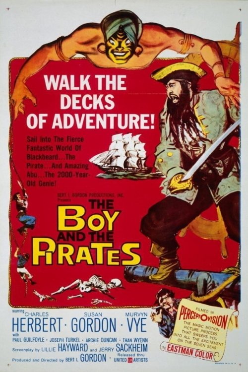 The Boy and the Pirates photo