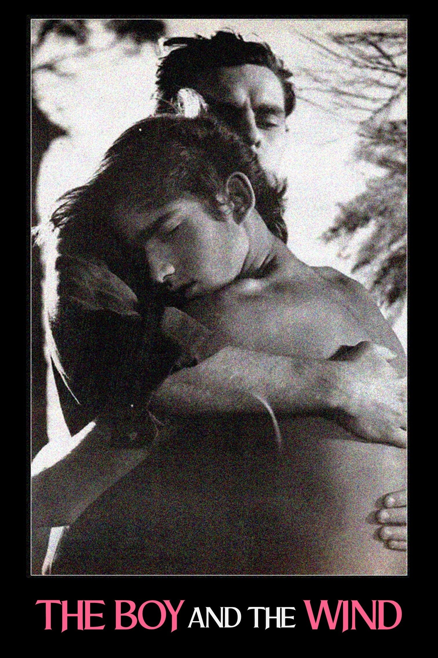 The Boy and the Wind photo