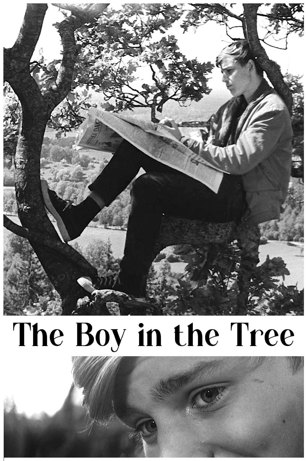 The Boy in the Tree photo