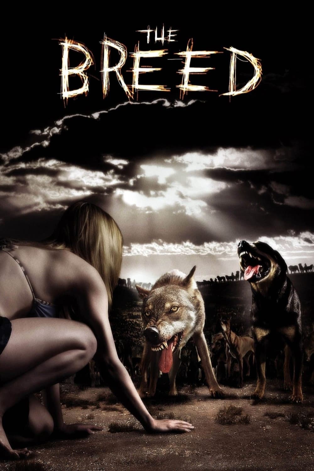The Breed photo