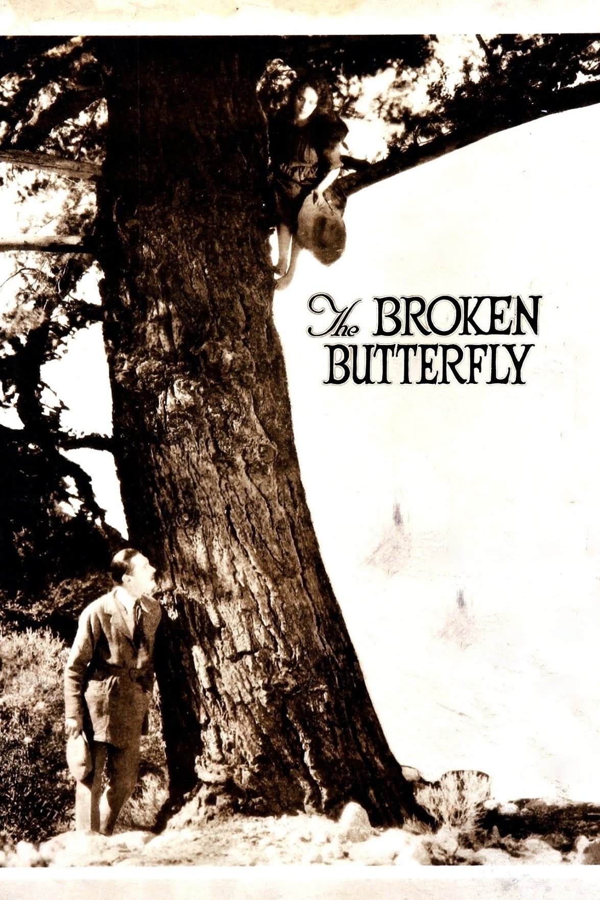 The Broken Butterfly photo