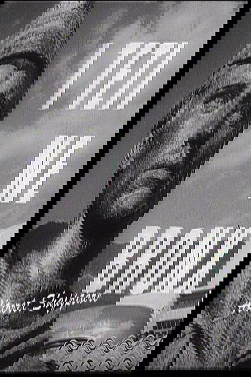 The Bronze Bust photo