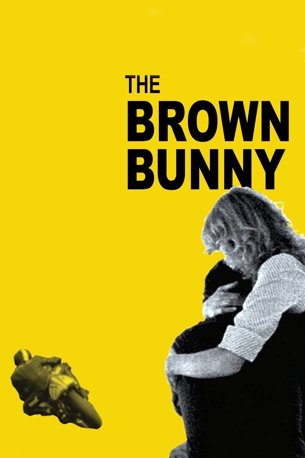 The Brown Bunny photo