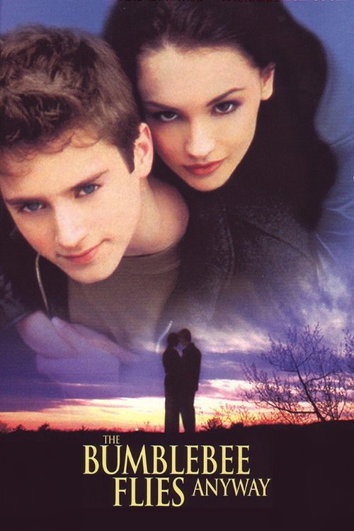 The Bumblebee Flies Anyway photo