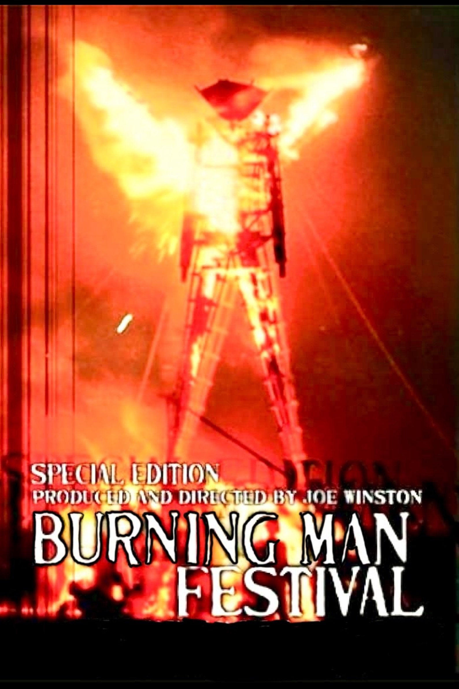 The Burning Man Festival photo