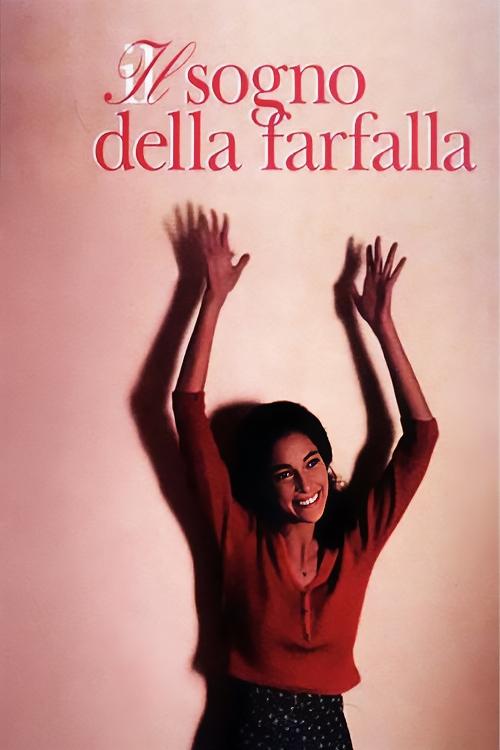 The Butterfly's Dream photo