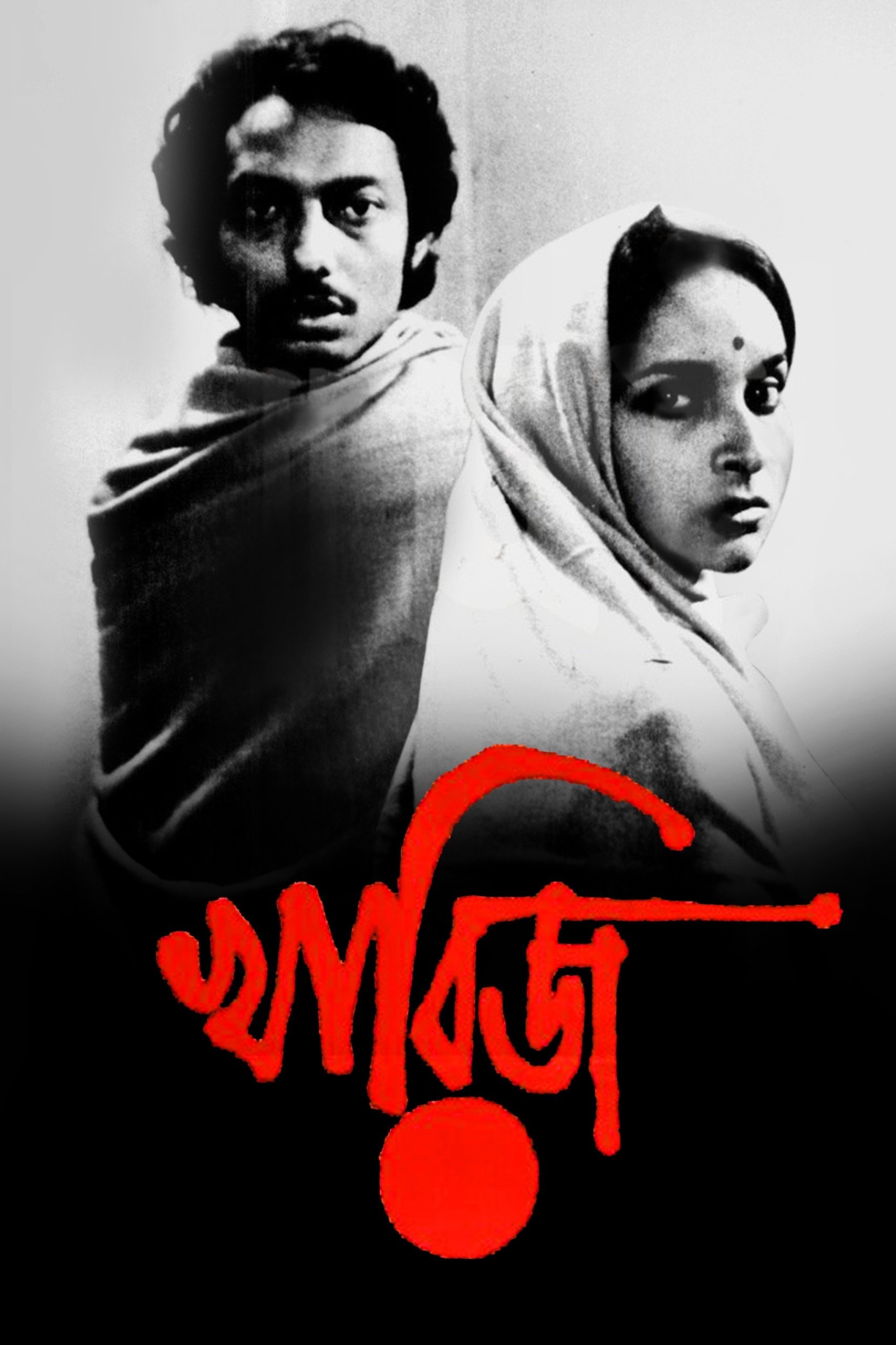 The Case Is Closed photo