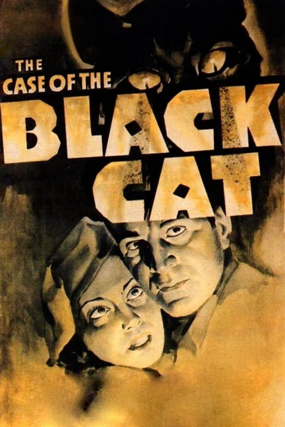 The Case of the Black Cat photo
