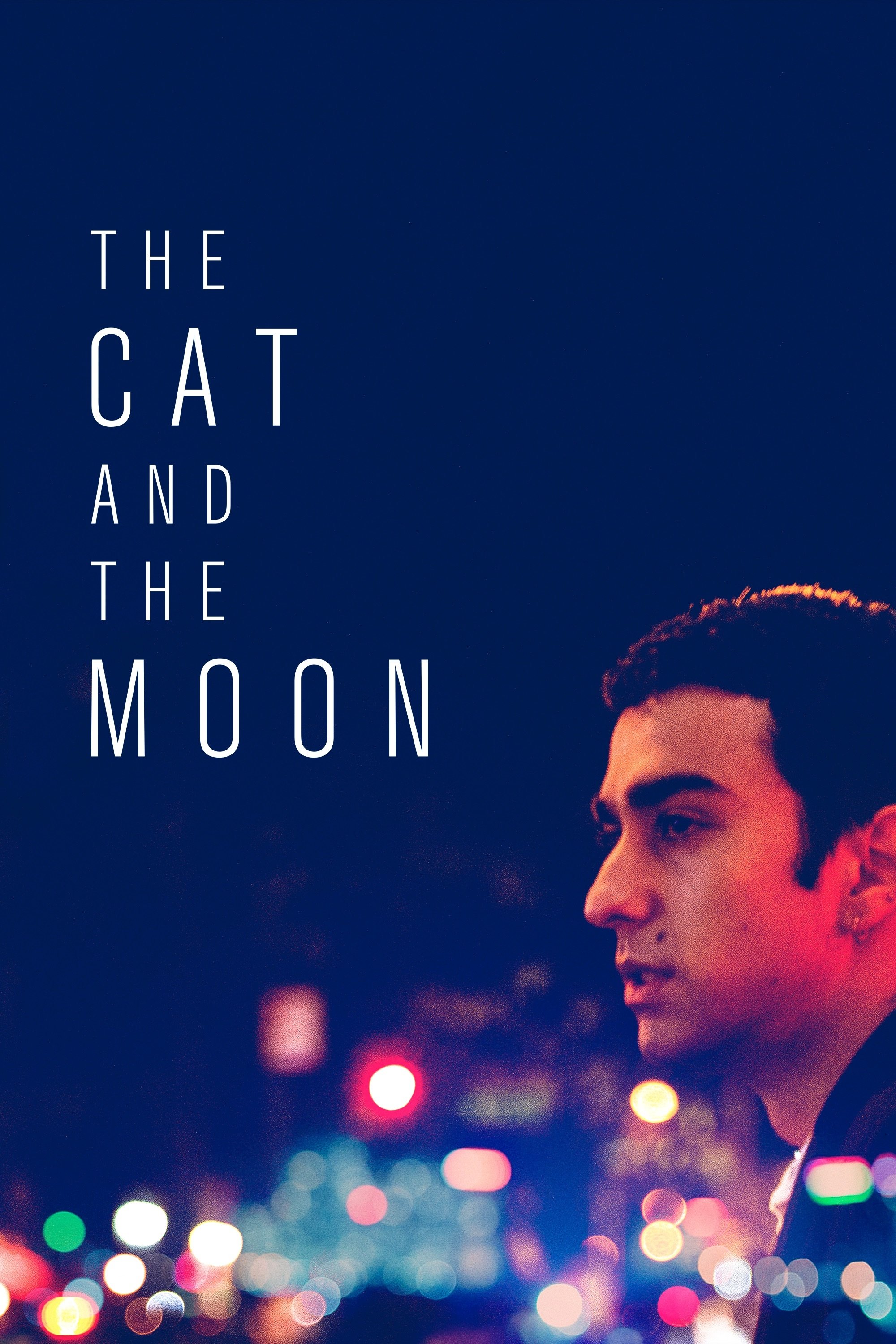 The Cat and the Moon photo