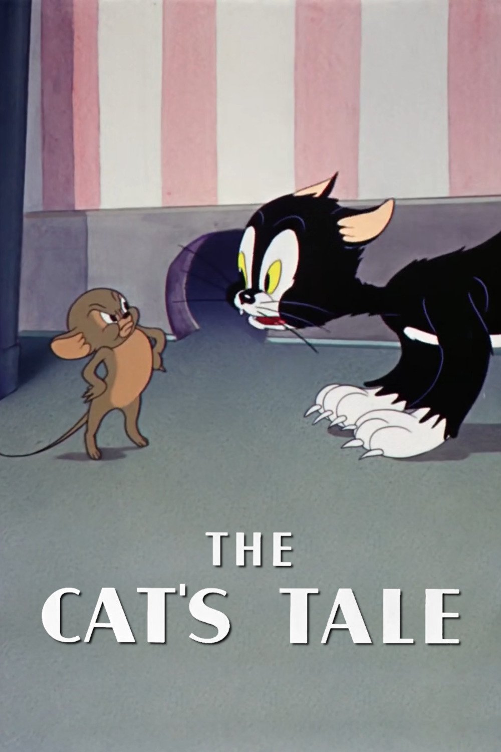 The Cat's Tale photo
