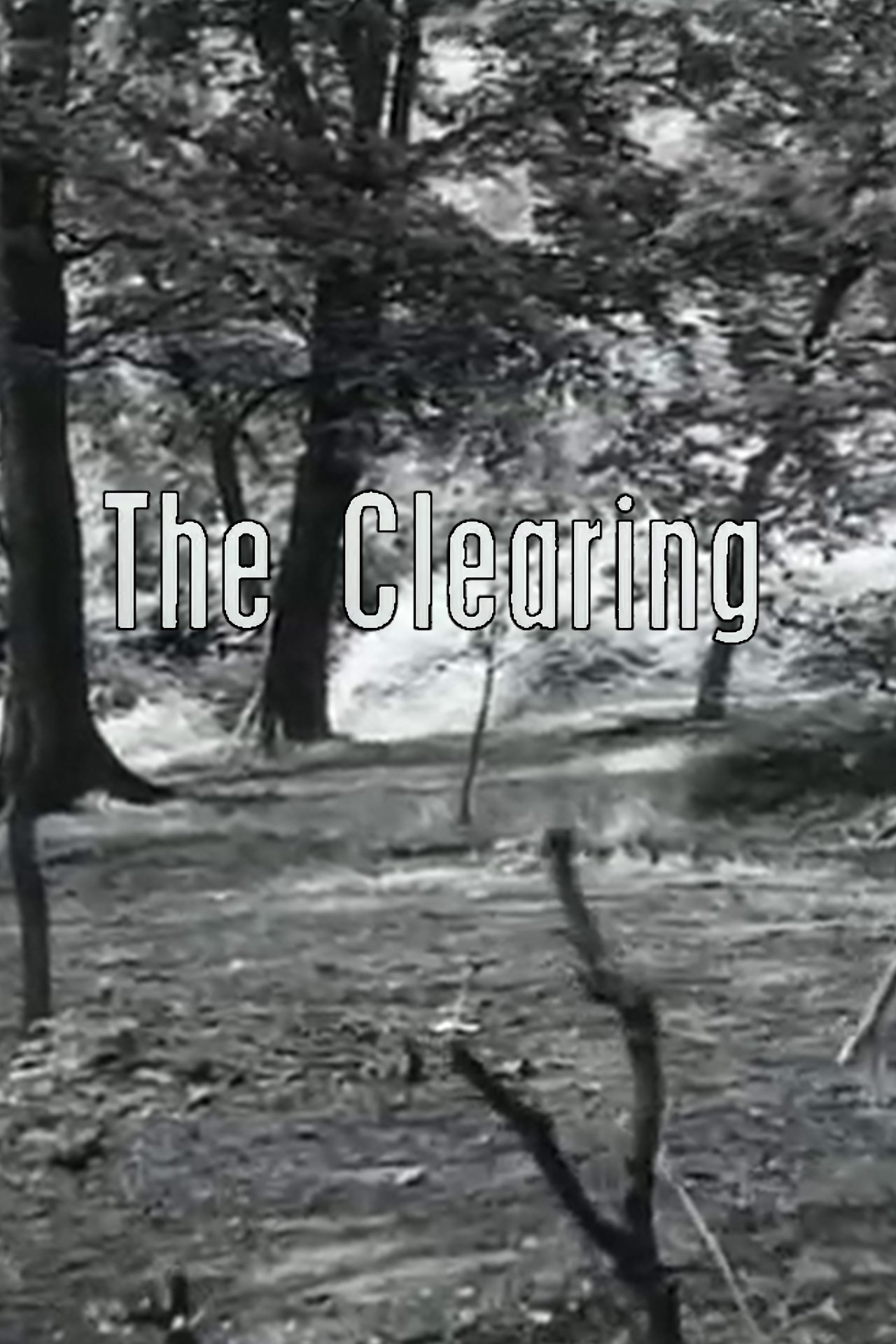 The Clearing photo