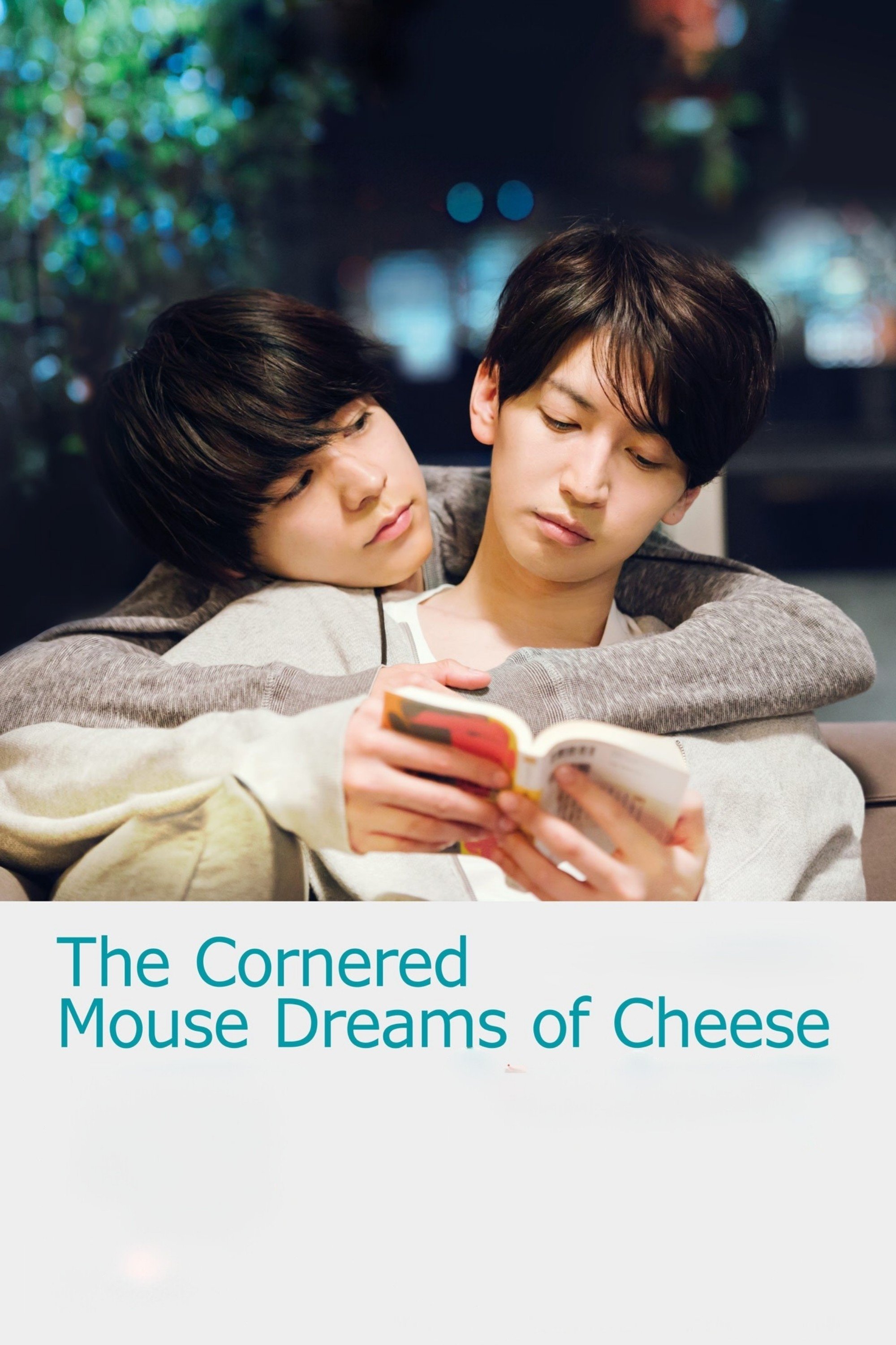 The Cornered Mouse Dreams of Cheese photo