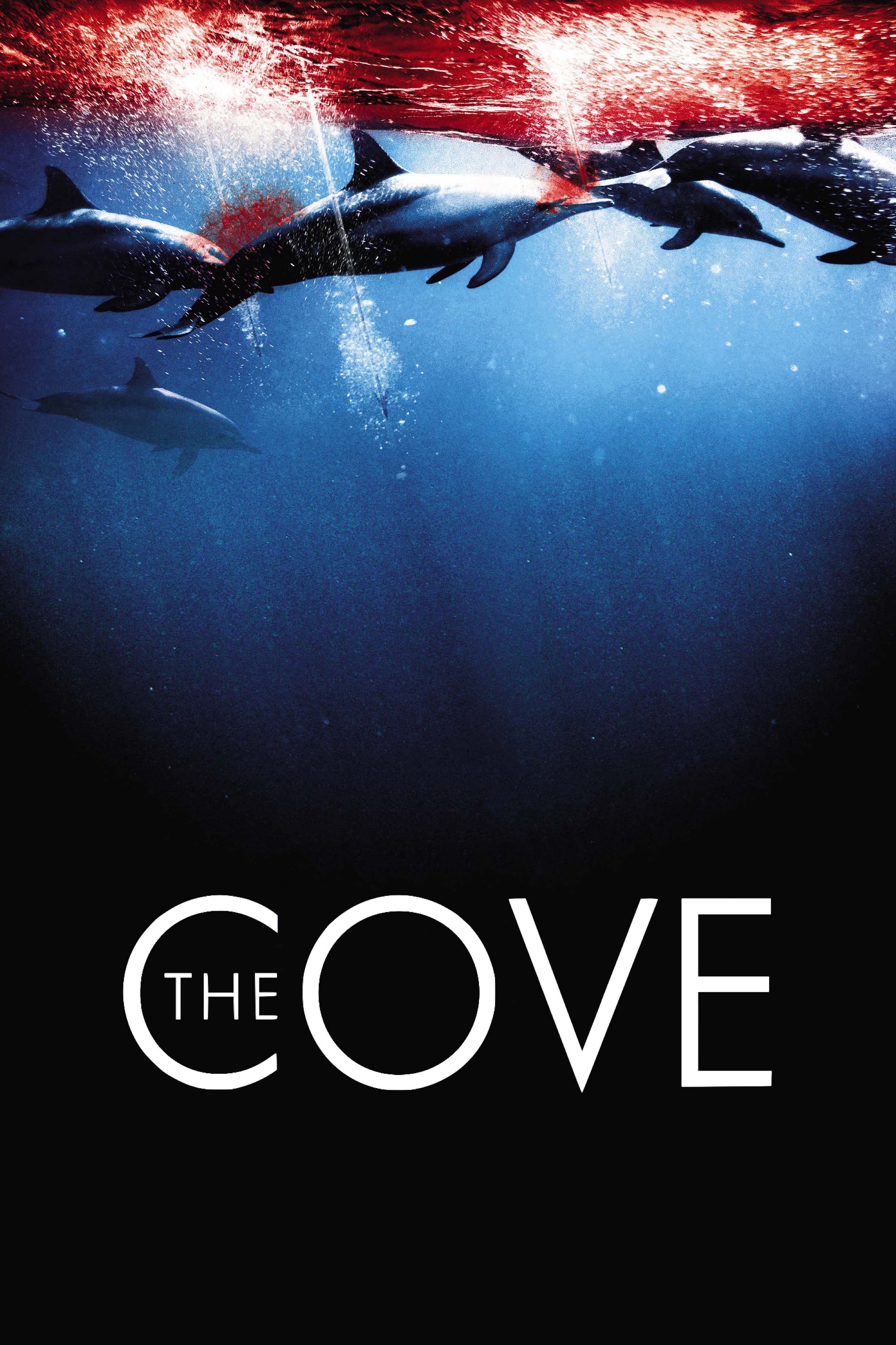 The Cove photo