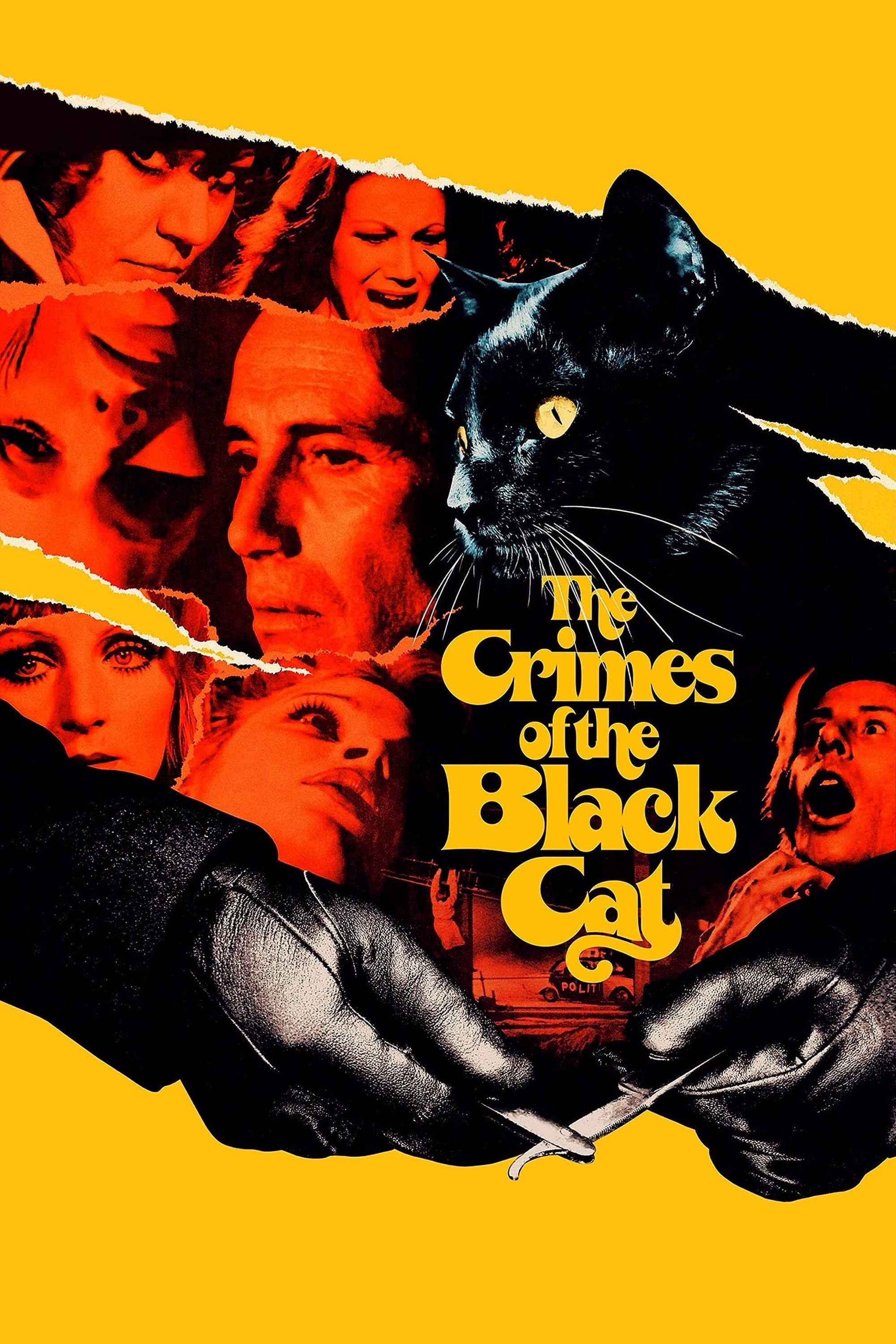 The Crimes of the Black Cat photo