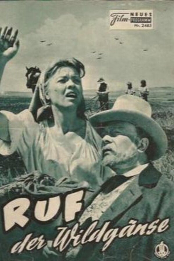 The Cry of the Wild Geese photo