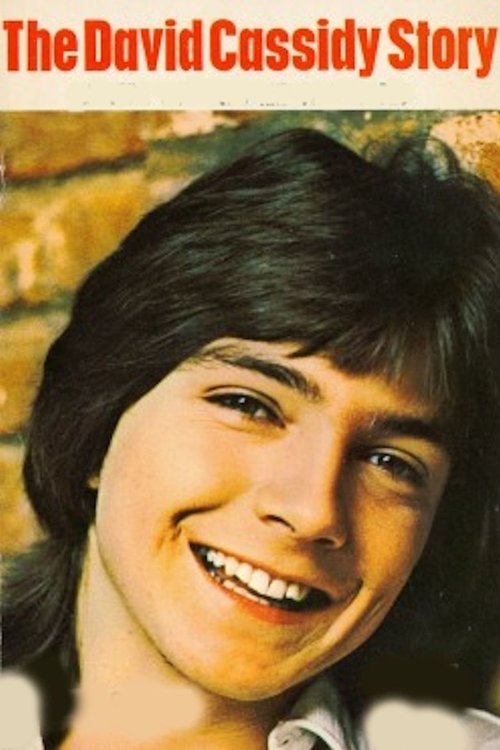The David Cassidy Story photo