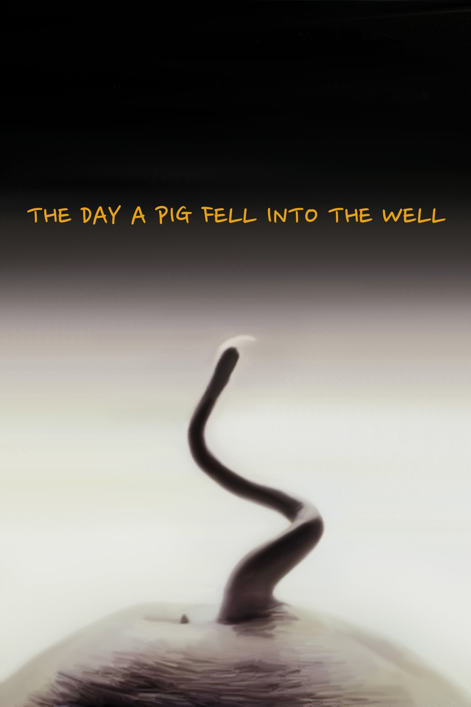 The Day a Pig Fell Into the Well photo