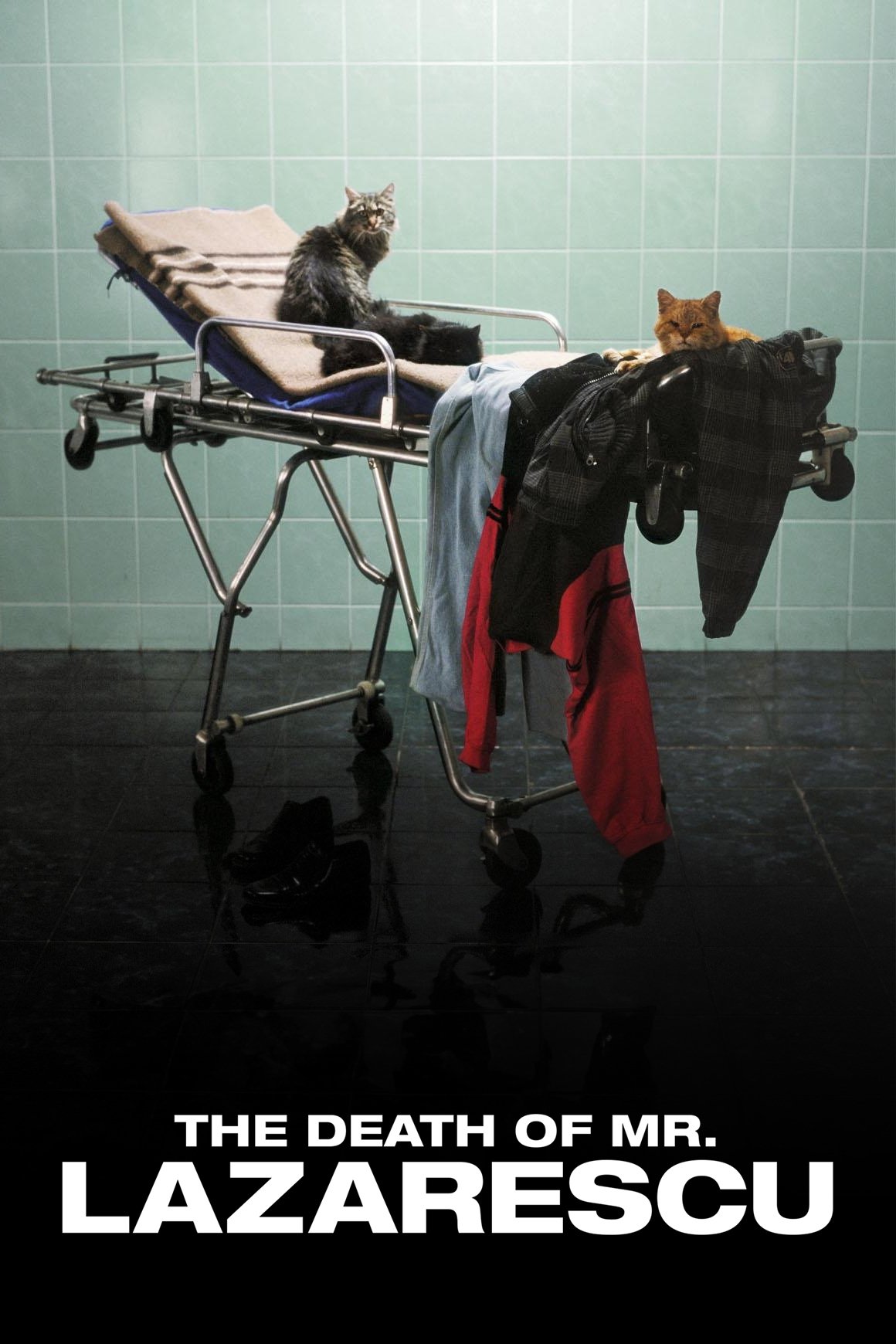 The Death of Mr. Lazarescu photo